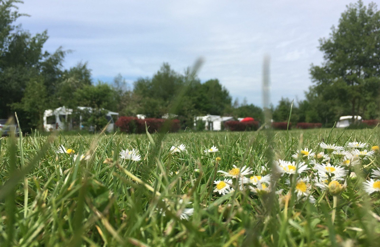 Landschapscamping de Graspol