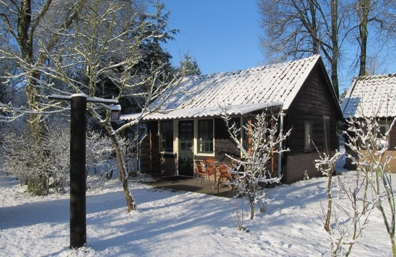 4-Personen-Luxuskabine 'De Aalbes'