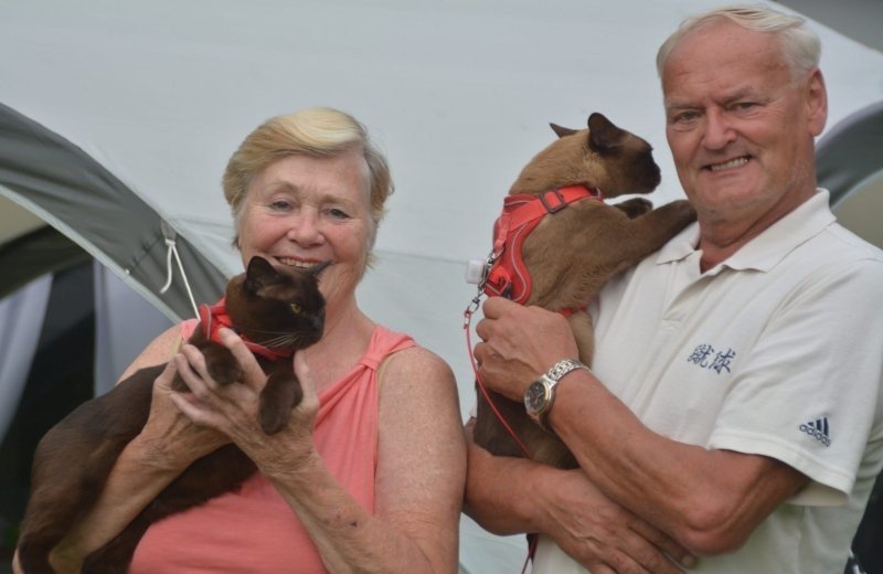 Von Spanien in den grünen Wald