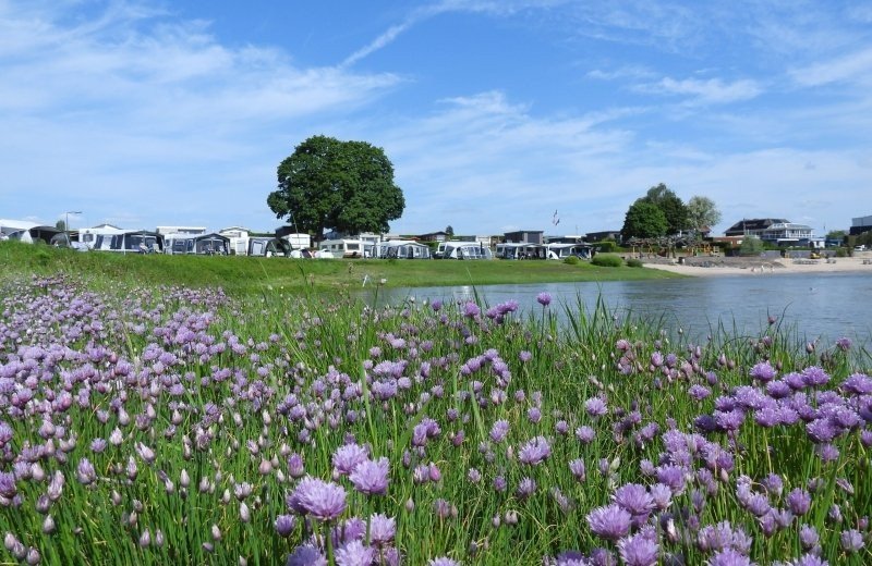 Waterkant comfort strand